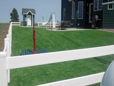 Artificial Grass Photos: Fake Pet Grass California City California Landscape, Lawns